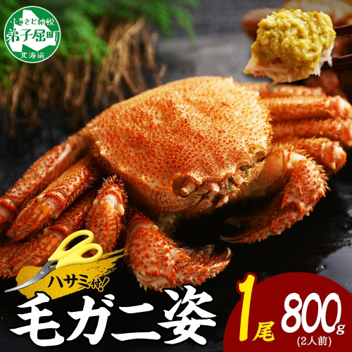 2986. ボイル毛蟹姿 800g 食べ方ガイド・専用ハサミ付 カニ かに 送料無料 北海道 弟子屈町 80253 - 北海道弟子屈町