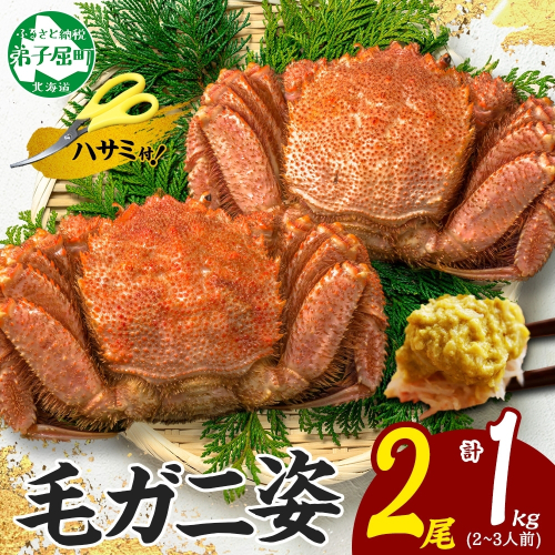 3319. 毛蟹 2尾 計1kg前後 食べ方ガイド・専用ハサミ付 カニ かに 蟹 海鮮 ボイル 送料無料 北海道 弟子屈町 80255 - 北海道弟子屈町
