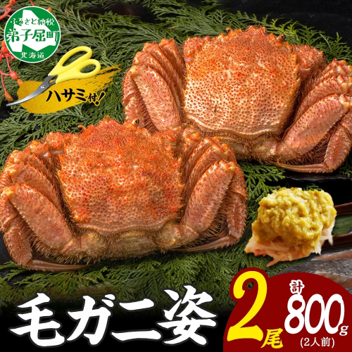 3357. 毛蟹 2尾 計800g前後 食べ方ガイド・専用ハサミ付 カニ かに 蟹 海鮮 ボイル 送料無料 北海道 弟子屈町 80260 - 北海道弟子屈町