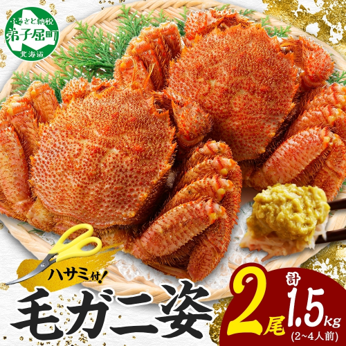 3336. 毛蟹 2尾 計1.5kg前後 食べ方ガイド・専用ハサミ付 カニ かに 蟹 海鮮 ボイル 送料無料 北海道 弟子屈町 80261 - 北海道弟子屈町