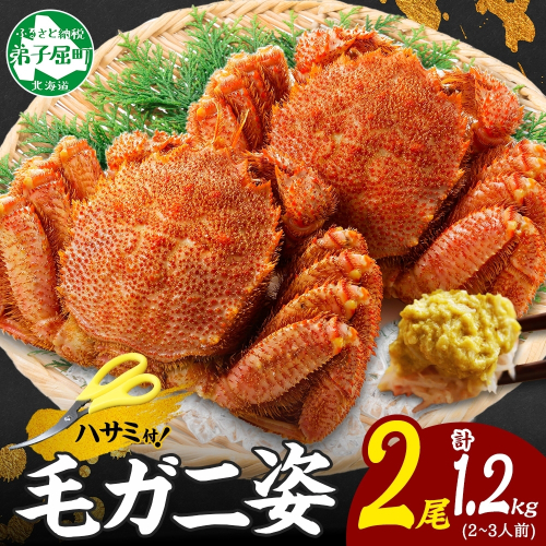 3335. 毛蟹 2尾 計1.2kg前後 食べ方ガイド・専用ハサミ付 カニ かに 蟹 海鮮 ボイル 送料無料 北海道 弟子屈町 80269 - 北海道弟子屈町