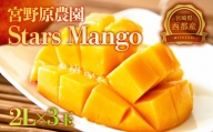 今が旬![糖度13度以上]厳選したスターズマンゴー2L×3個 宮野原農園の完熟マンゴー 生産者直送[2-78]宮崎マンゴー 果物 フルーツ 甘い 6月30日終了