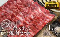 【カミチク】食べ比べ焼肉セット1kg 小分け 宮崎県産玄米黒牛 ＜1.9-11＞焼肉 牛肉