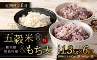 【定期便年6回】 五穀米 (黒・白) ＆ もち麦 セット 計1.3kg