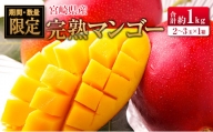 ◆宮崎県産 完熟マンゴー（合計約1kg）