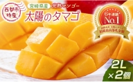 最高級ブランド『太陽のタマゴ』2L×2個【糖度15度以上】宮崎県西都市産完熟マンゴー ＜2-76＞宮崎マンゴー