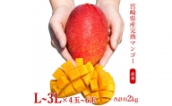◇宮崎県産完熟マンゴー[赤秀] 合計約2kg（4～6玉）