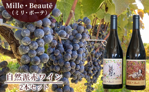 Mille・Beauté (ミリ・ボーテ）無添加 無濾過 赤ワイン 2本セット 805292 - 長野県小諸市