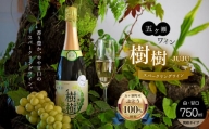 五ヶ瀬 スパークリング ワイン  樹樹 -JUJU-（ 白 ・ 甘口 ・ 発泡 タイプ ）| お酒 ワイン さけ 酒 アルコール 飲料 飲み物 宮崎 五ヶ瀬