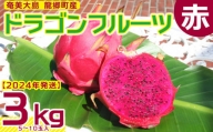 【2024年発送】奄美・龍郷町産 ドラゴンフルーツ赤3kg（5～10玉）
