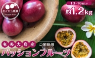 [先行受付]奄美大島産 パッションフルーツ ご家庭用 1.2kg(13〜16個入り)[ながむら農園]