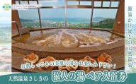 沖縄 温泉 ペア温泉入浴券 天然温泉さしきの猿人の湯