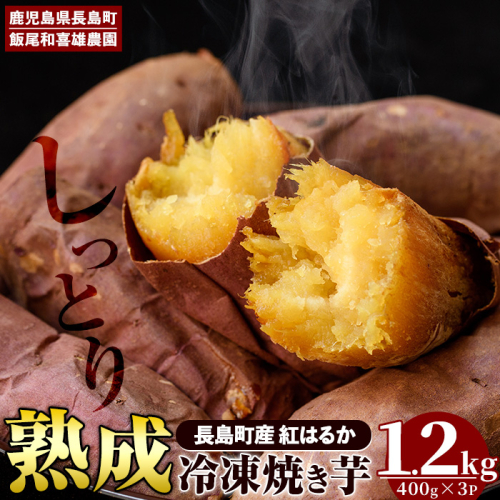 《先行予約》和喜雄さんといつみさんの冷凍焼き芋(約1.2kg) 焼き芋 冷凍 紅はるか さつまいも 熟成 鹿児島 スイーツ お菓子 おやつ 【飯尾和喜雄農園】iio-7087 80935 - 鹿児島県長島町