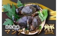 蟹蔵のマングローブ蟹