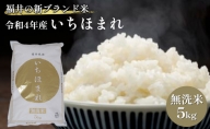 無洗米　いちほまれ5kg（令和4年産）福井の新ブランド米