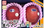 【2024年発送・5セット限定】完熟美らマンゴー約1kg（化粧箱）2玉