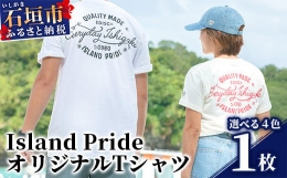 【ふるさと納税】EDISG Tシャツ Island Pride【カラー:チャコール】【サイズ:Sサイズ】KB-65