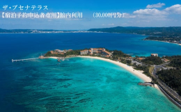 ※発送期日について、10月1日〜12月31日はふるさと納税申込が集中するため、早めの発送等が出来なくなり通常対応となります。寄付受付より1ヶ月〜2ヶ月のお時間をいただきますのでご了承ください。ザ・ブセ