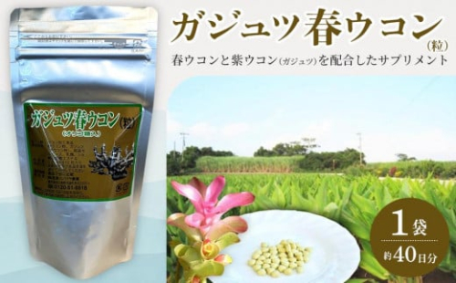 ガジュツ春ウコン（粒）1袋 （約40日分） 811719 - 鹿児島県与論町