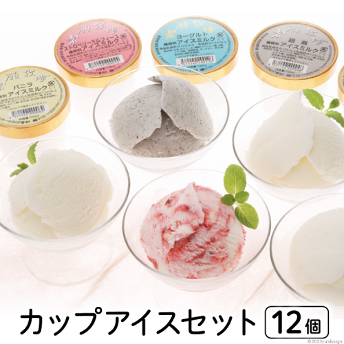 カップアイス12個セット [岩瀬牧場 北海道 砂川市 12260341] アイス イタリアン ジェラート 詰め合わせ レビューキャンペーン 811 - 北海道砂川市