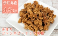 伊江島産手作りジャンボピーナッツ黒糖4.8kg（180g×27袋）
