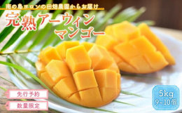 【発送期間：2025年7月上旬から9月上旬ごろ予定】美しい珊瑚礁に囲まれた与論島から南の風をお届けします！丁寧に育てられたあま〜い完熟マンゴーをぜひご賞味ください。冷やしておいしくお召し上がりください