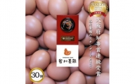 ＜生みたて濃厚＞谷川養鶏の赤たまご　30ヶ入り(※サイズ指定できません)【1390294】