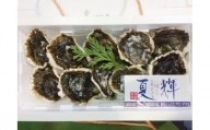 １２７．鳥取県産　天然岩ガキ『夏輝』　10個（300g以上×10個） 牡蠣 カキ※着日指定不可※2024年6月上旬～8月中旬頃に順次発送予定