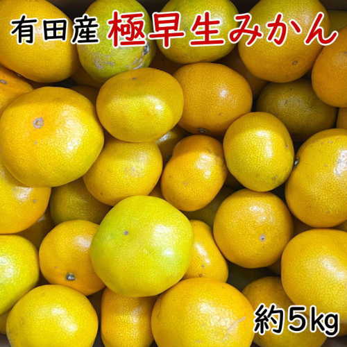 有田産極早生みかん約5kg（サイズ混合）　※2023年10月中旬～11月上旬頃発送予定（お届け日指定不可） 815424 - 和歌山県北山村