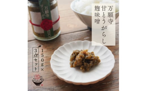 万願寺甘とうがらし麴味噌 3点セット 京野菜 京都 舞鶴 万願寺 815431 - 京都府舞鶴市