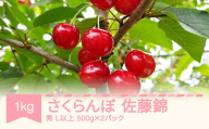 さくらんぼ 佐藤錦 秀品 L玉以上 1kg 500gパック×2 バラ詰  令和6年産 2024年産 山形県産 kl-snslp1