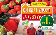 [ 先行予約 ]弘津さんちの 朝採り イチゴ さちのか 約 1kg ( 約500g × 2パック ) 令和8年1月中旬〜3月発送 | さちのか いちご イチゴ 苺 朝採れ 完熟 新鮮 贈答 冬 冷蔵便 クール便 山口県 平生町