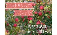 りんご（サンふじ）３ｋｇ　９～１３個　0120-2405