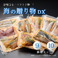 海の贈り物DX 新感覚 ソフト干物 豪華 盛り合わせ 9〜10 種類