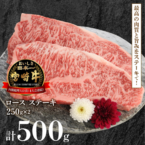 宮崎牛ロースステーキ 250g×2 計500g N0147-YB827 815594 - 宮崎県延岡市