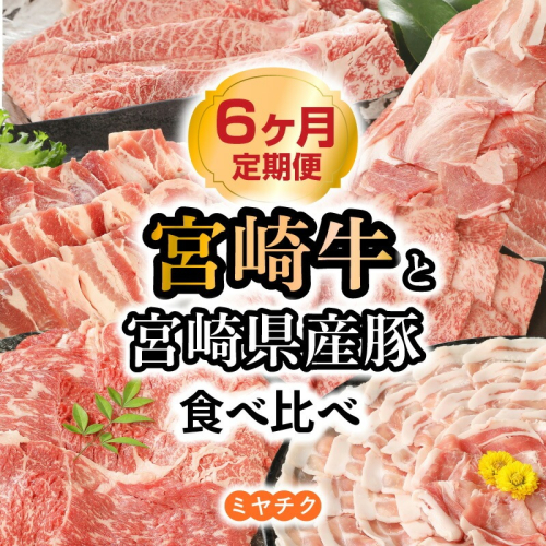 【6ヶ月定期便】宮崎牛と宮崎県産豚食べ比べ N0147-YG0213 815659 - 宮崎県延岡市