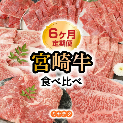 【6ヶ月定期便】宮崎牛食べ比べ N0147-YG0214 815661 - 宮崎県延岡市
