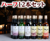 十勝ワイン ハーフボトル12本（赤・白・ロゼ）セット 360ml×12本 赤ワイン 白ワイン ロゼワイン セイオロサム 山幸 トカップ 飲み切り【C001-3-2】