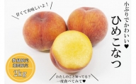 M-AG27.【5月中旬頃～発送】小ぶりな桃 ひめこなつ 約2kg