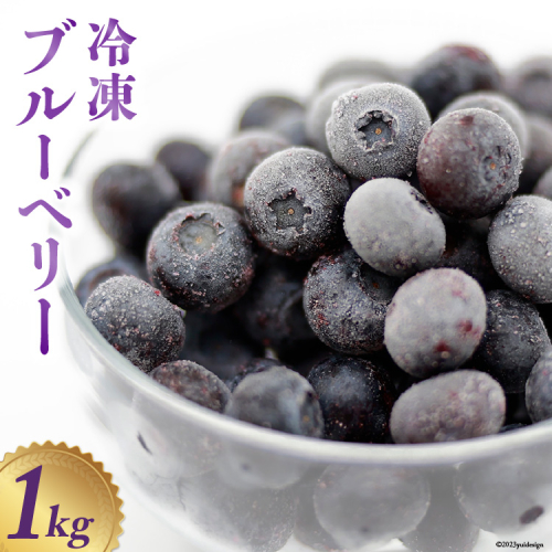 冷凍 ブルーベリー 1kg [三谷果樹園 北海道 砂川市 12260358] 果物 フルーツ 国産 産地直送 817 - 北海道砂川市