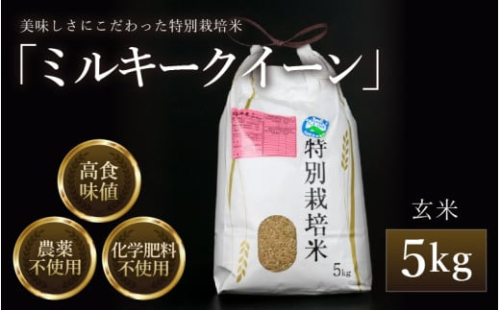 【先行予約】【令和7年産 新米】 ミルキークイーン 玄米 5kg 特別栽培米 農薬不使用 化学肥料不使用 ／ 高品質 鮮度抜群 福井県産 ブランド米 ※2025年10月上旬以降順次発送 [aw063-a001]