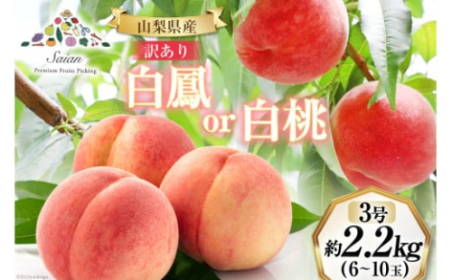 【2025年発送】訳あり もも 白鳳 or 白桃 3号 約2.2kg (6～10玉)【6月後半から順次発送】 [斎庵 山梨県 韮崎市 20742800] 桃 モモ 果物 フルーツ 山梨 期間限定 季節限定 冷蔵 農福連携