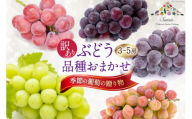 訳あり ぶどう 季節の葡萄の贈り物  品種おまかせ / 斎庵 / 山梨県 韮崎市 [20741325] ブドウ 葡萄 期間限定 季節限定 冷蔵