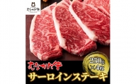 むなかた牛サーロインステーキ 1kg(250g×4枚)【すすき牧場】_HA1262