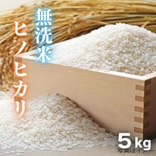 無洗米5kg（ヒノヒカリ）