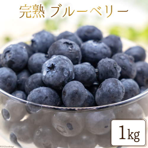 完熟 ブルーベリー 生果実 1kg [三谷果樹園 北海道 砂川市 [12260532] 果物 フルーツ 国産 レビューキャンペーン 819 - 北海道砂川市