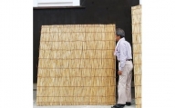 創業200年竹専門店　びわ湖の葦簀(よしず)　6尺寸法(180cm×180cm)