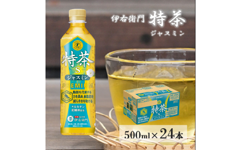 サントリー　伊右衛門  特茶  ジャスミン  500mlペット 24本 1ケース   【 ドリンク  お茶  特定保健用食品  兵庫県 高砂市  ふるさと納税】