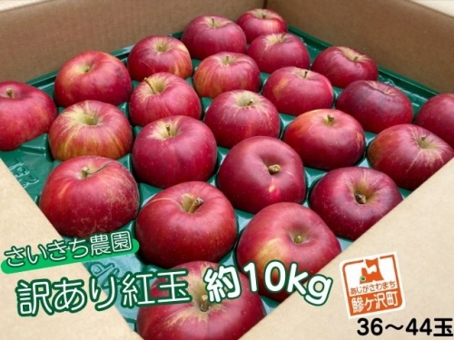 【訳あり】[青森県産りんご]さいきち農園の紅玉約9～10kg(36～44玉)　　青森県鰺ヶ沢町産りんご