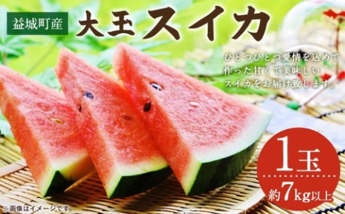 益城町産 スイカ 大玉 1玉（約7Kg以上） 【2026年5月下旬～6月上旬発送予定】 821305 - 熊本県益城町